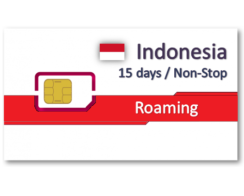 印尼上網卡15天吃到飽 / 定量